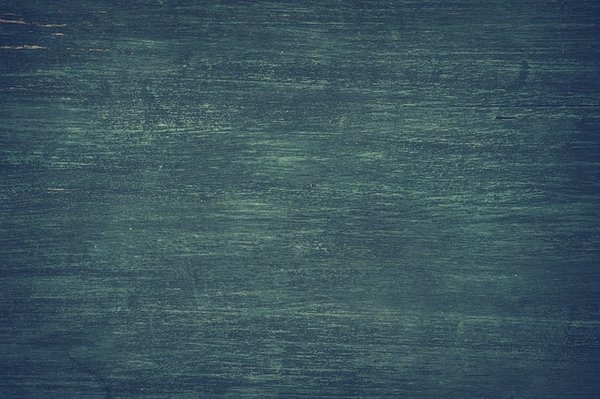 Comment apporter une touche de verdure dans votre salle de bain avec un mur végétal ?
