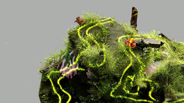 Qu'est-ce que le plan biodiversité ?