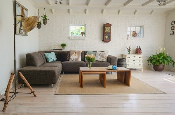 Comment décorer l’intérieur de sa maison : les fleurs d'intérieures sont-elles idéales ?