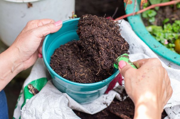 Le composteur de balcon : une solution écologique ?