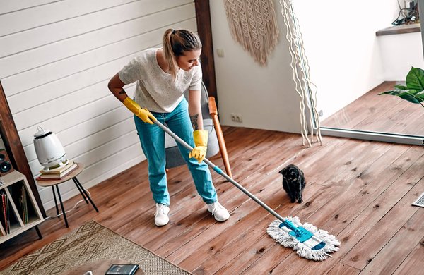 Comment garder votre maison propre chaque jour ?
