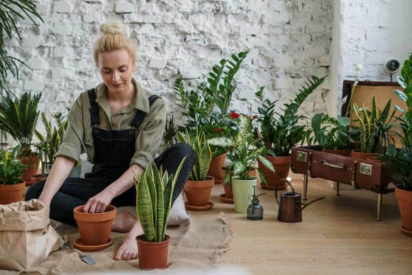 5 conseils pour bien sélectionner vos équipements de jardinage