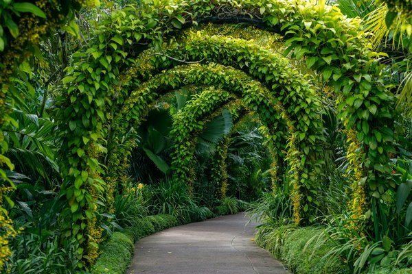 Arche de jardin : quel modèle choisir ?